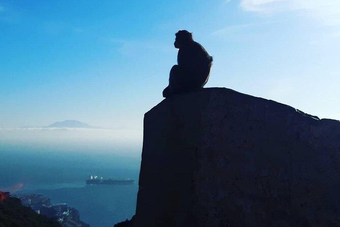 Gibraltar Sightseeing : Extended Rock Tour / Shore Excursion (Private) - What to Expect from the Gibraltar Extended Rock Tour