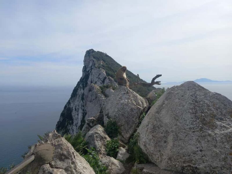 Gibraltar Sightseeing : Premium Tour with a Local Guide - Key Points
