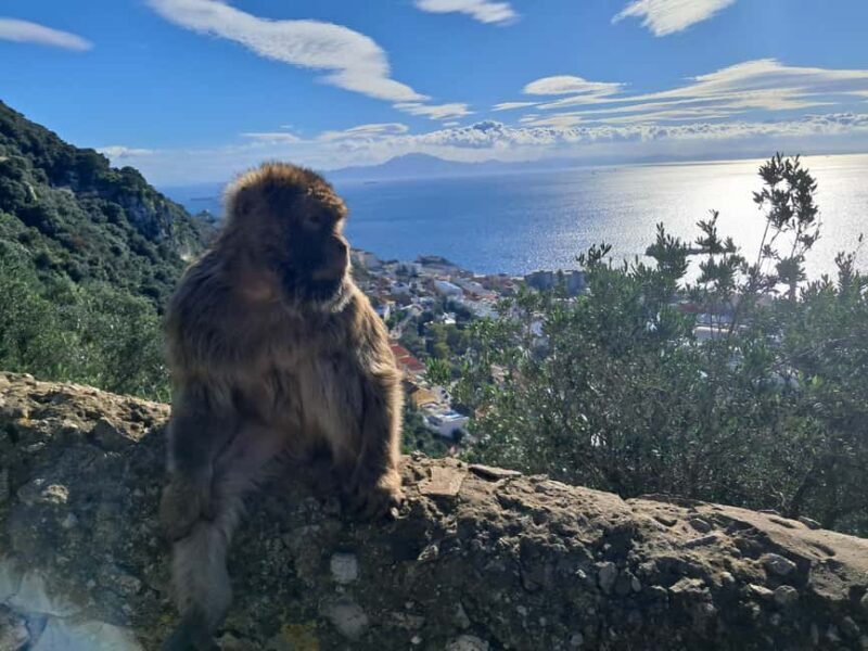 Gibraltar Sightseeing : Premium Tour with a Local Guide - The Pillars of Hercules – A Famous Viewpoint