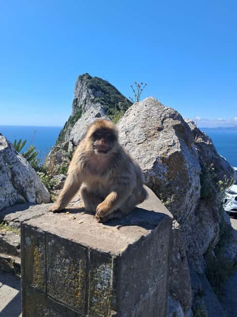 Gibraltar Sightseeing : Premium Tour with a Local Guide - Saint Michael’s Cave – Nature’s Marvel