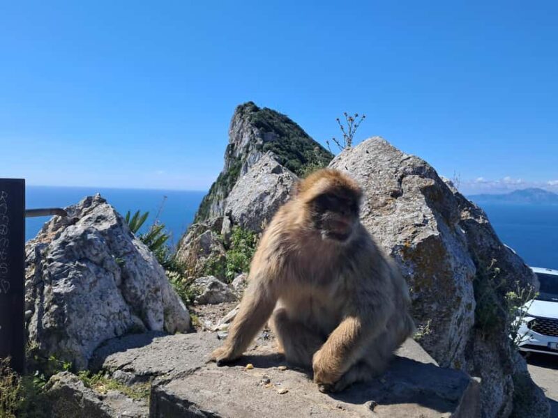 Gibraltar Sightseeing : Premium Tour with a Local Guide - The Skywalk – Breathtaking Heights
