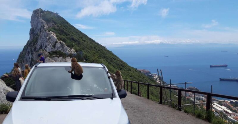 Gibraltar Sightseeing: Private Classic Tour with a Local - What to Expect