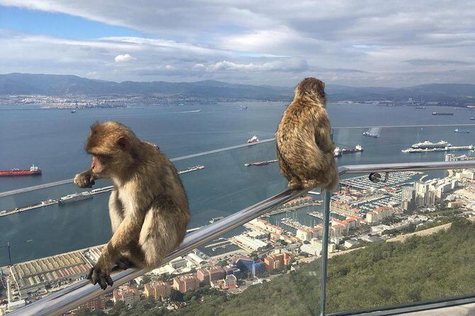 Gibraltar Sightseeing Private Full Day Shore Excursion - The Value of This Tour