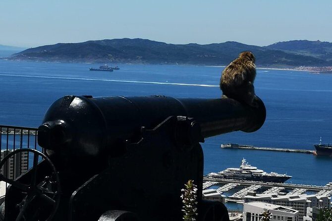 Gibraltar Sightseeing Private Full Day Shore Excursion - FAQs