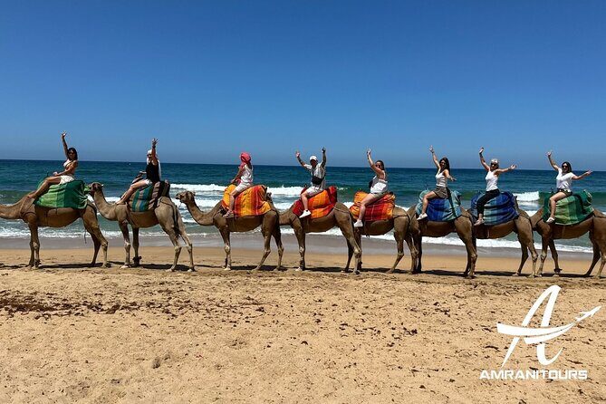 Gibraltar to Tangier All Inclusive Day Trip - Final Thoughts: Who Is This Tour Best For?