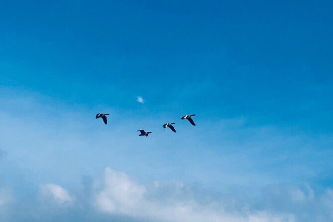 Giethoorn, Fish village , Zaanse Schans Tour incl Hotel pick up - Who Is This Tour Best For?