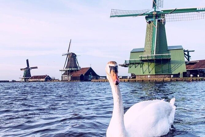 Giethoorn, Private Boat Tour & Zaanse Schans Windmills - Who Will Love This Tour?