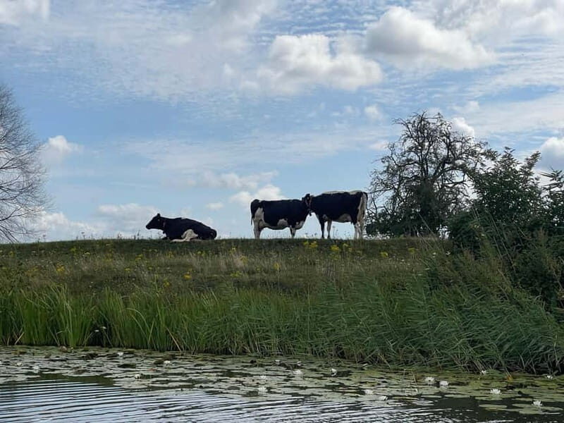 Giethoorn & Windmill Country  A Journey Through Old Holland - FAQs