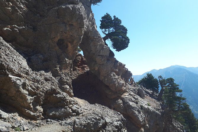 Gigilos summit adventure - An In-Depth Look at the Gigilos Summit Adventure