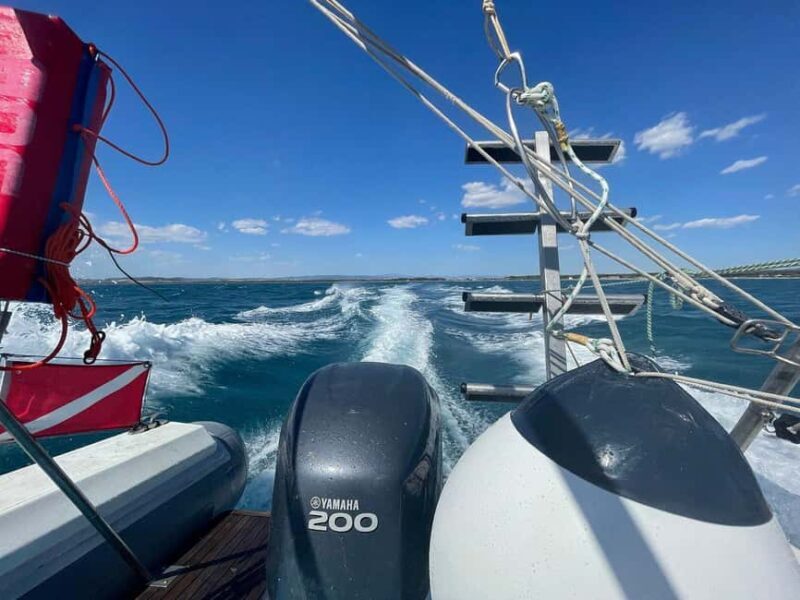 Giglio Island (Tuscania): Tour and snorkelling on a dinghy - Key Points