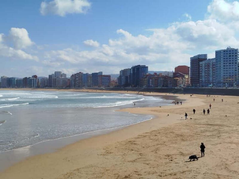 Gijon and La Laboral Guided Tour from Oviedo - Whats Included and What to Keep in Mind