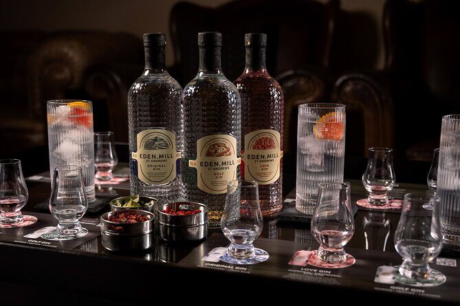 Gin Tasting Experience with a Perfect Serve - The Small Group Advantage