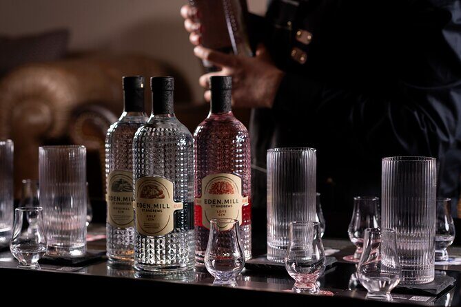 Gin Tasting Experience with a Perfect Serve - Who This Tour Is Perfect For