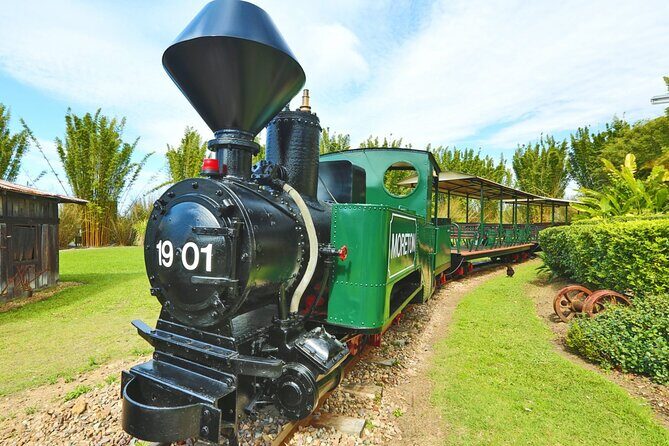 Ginger Factory and Nutworks Return Bus Transfer: Sunshine Coast - What to Expect from the Tour