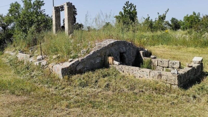 Gioia del Colle: E-Bike Tour & Mozzarella DOP Experience - Who Will Love This Tour?