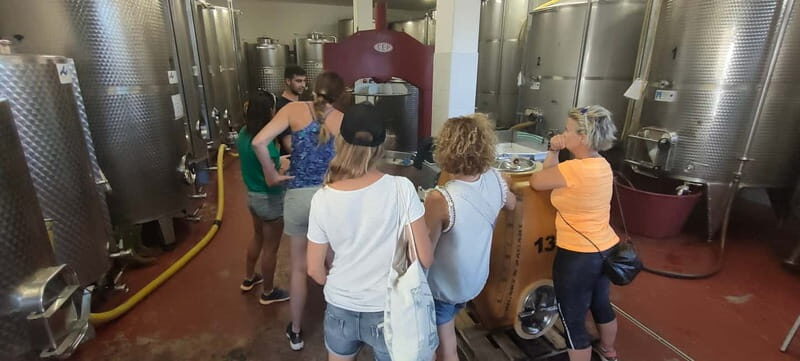Gioia del Colle: Winery with Primitivo Tasting - Final Thoughts