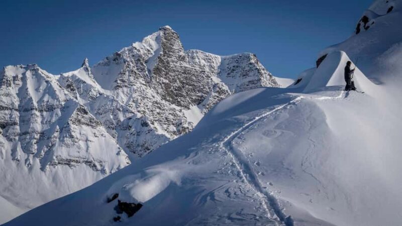Girdwood: Backcountry Skiing Tour with Experienced Guide - The Practicalities: What You Need to Know