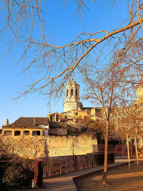 Girona: Jewish Heritage Tour with Museum Entry - Frequently Asked Questions
