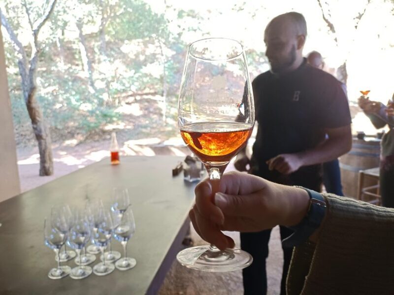 Girona: Local Wineries Tour with Breakfast and Wine Tasting - FAQ