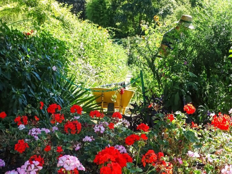 Giverny: Monet's House and Gardens Guided Tour - Group Size and Guide Quality