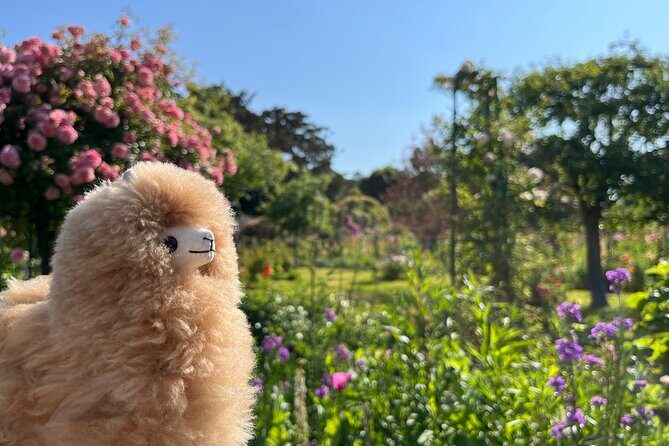 Giverny & Versailles Private Guided Tour with Ticket Entry - Who Should Consider This Tour?