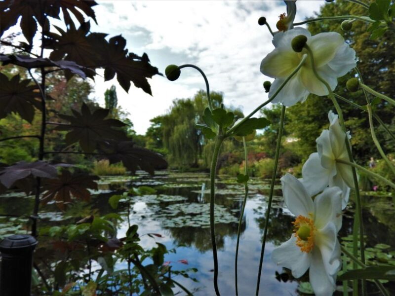 Giverny Village Walking Tour & Skip-the-Line to Monet Garden - FAQ: Your Questions Answered