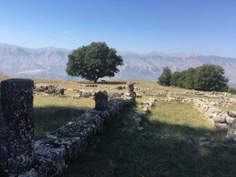 Gjirokastër: Antigonea Archaeological Park Guided Tour - The Value of the Experience