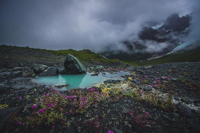 Glacier and Mountain Viewing Intro Flight - Authentic Traveler Feedback