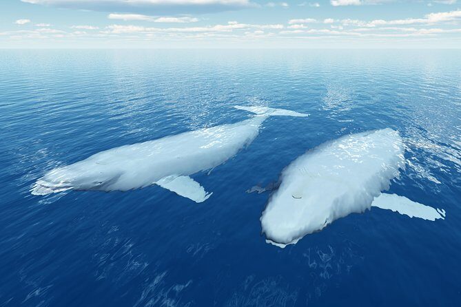 Glacier Hike on Matanuska Glacier - Best Vacation Value - Who Will Love This Tour?