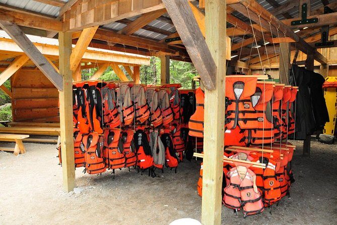 Glacier Point Wilderness Safari - Final Thoughts