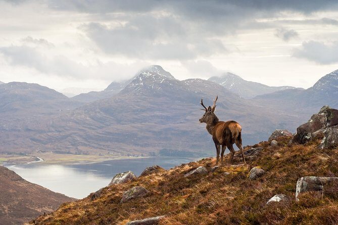 Glasgow: Isle of Skye, The Highlands and Loch Ness - 3 Day Tour - What Sets This Tour Apart