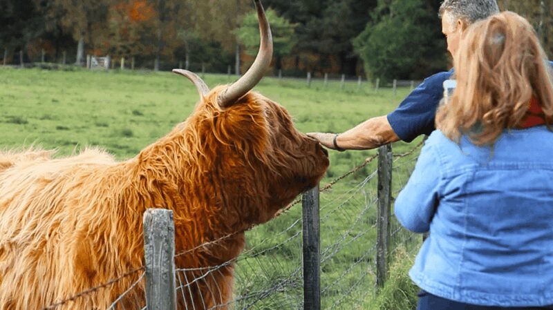 Glasgow: Loch Ness, Glen Coe, Hairy Coos & The Highlands - Final Thoughts