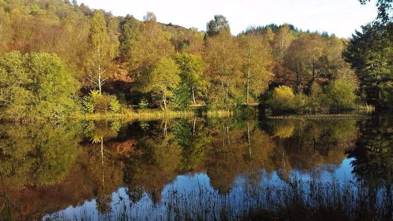 Glasgow Shore Excursion: - Loch Lomond - Stirling Castle - The Sum Up