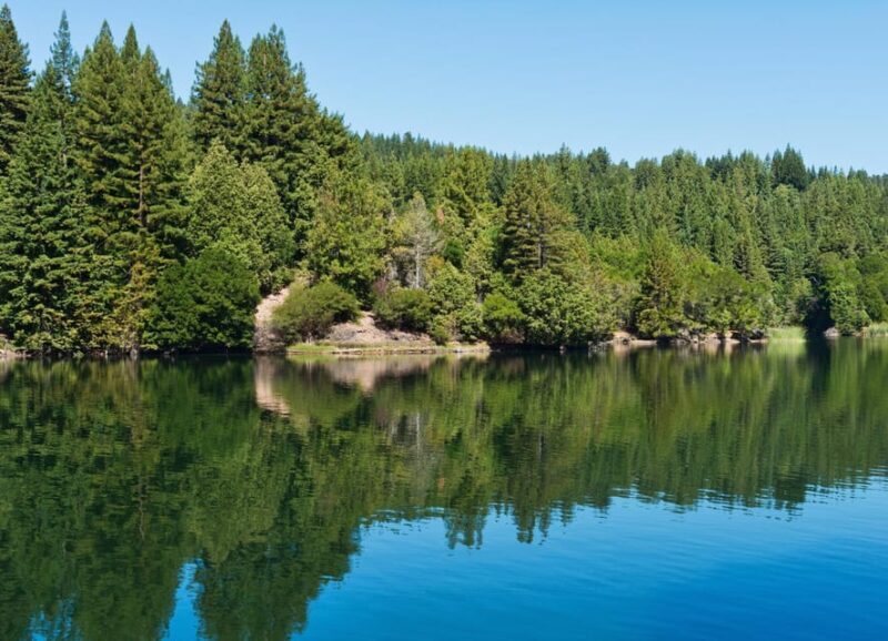 Glasgow: Stirling Castle, Loch Lomond Walk, and Whisky Tour - Who This Tour Is Perfect For