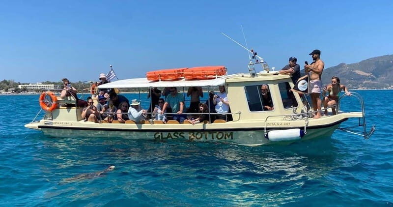Glass boat cruises to spot turtles - Key Points