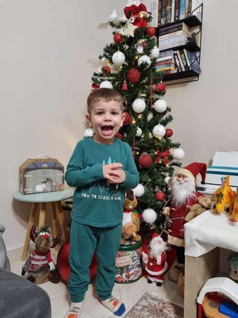 Glass boat cruises to spot turtles - FAQ