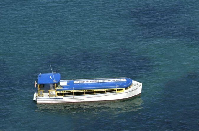 Glass Bottom Boat: Catalina Island Tour - Additional Considerations and Tips