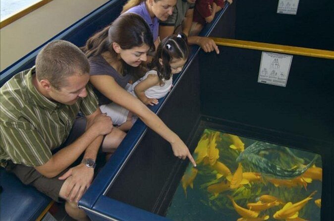 Glass Bottom Boat: Catalina Island Tour - Frequently Asked Questions (FAQs)