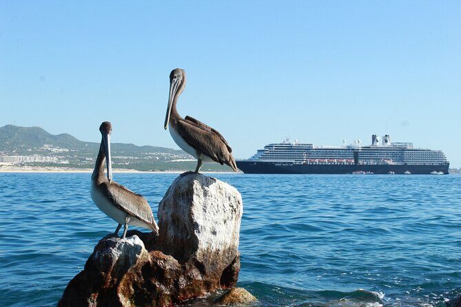 Glass Bottom Boat in Cabo San Lucas, free time in Playa del Amor - What to Expect from the Tour