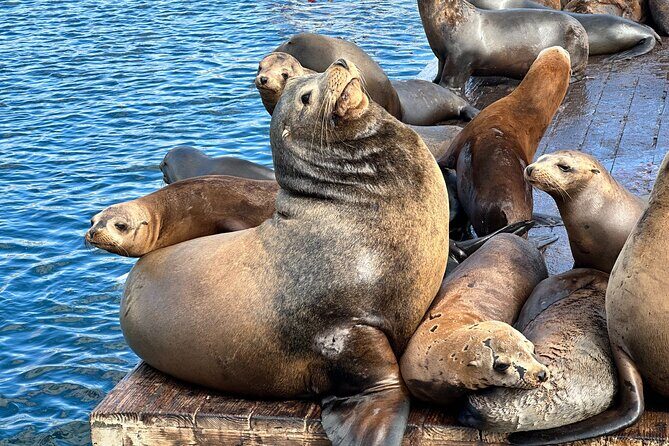 Glass Bottom Boat Ride in Redondo Beach - The Itinerary in Detail