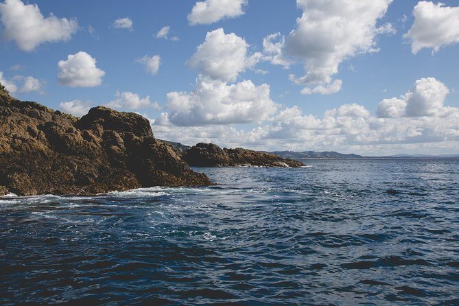 Glass Bottom Boat Tour - Frequently Asked Questions