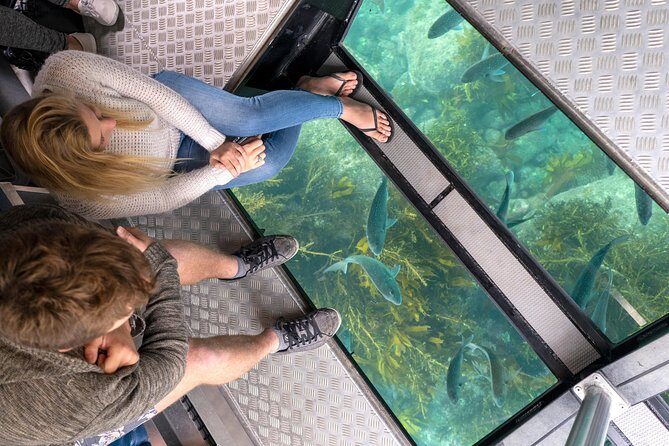 Glass Bottom Boat Whitianga Cathedral Cove Cruise - Key Points