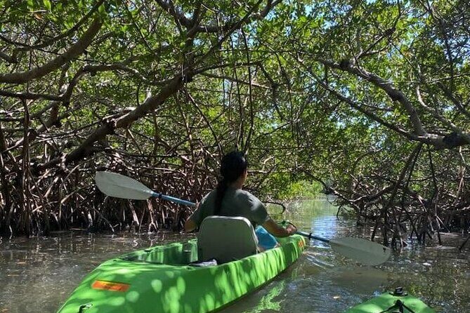 Glass Bottom Kayak Mangrove & Sandbar Adventure in St. Pete Beach - Who Is This Tour Best For?