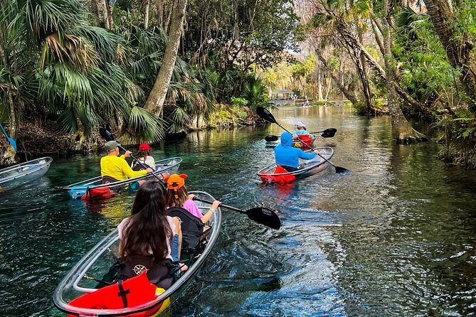 Glass Bottom Kayak Tours of Silver Springs - The Experience in Detail