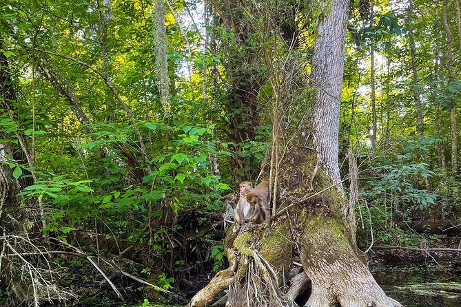 Glass Bottom Kayak Tours of Silver Springs - Cost and Value