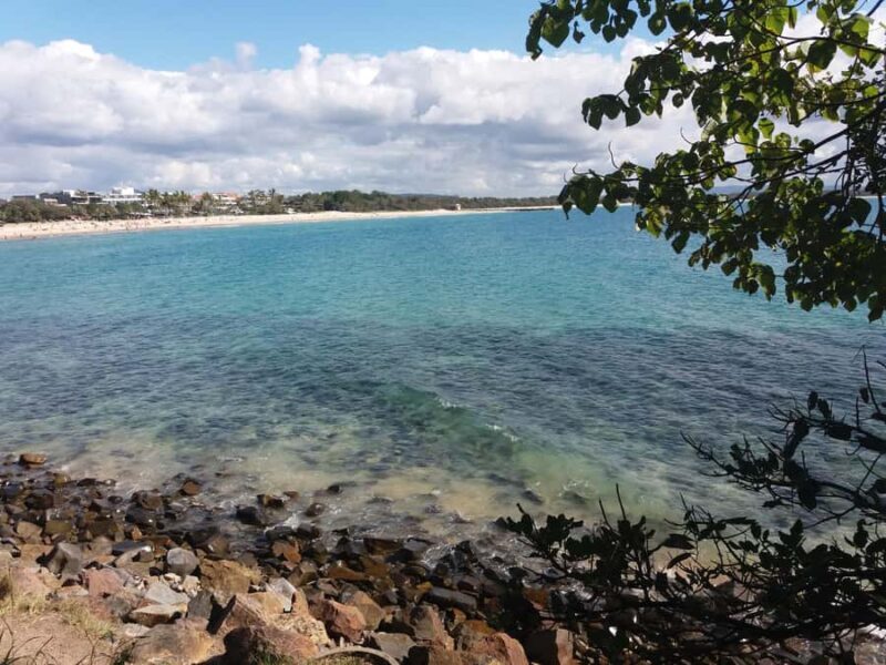 Glass House Mountains: Big Pineapple & Caloundra Markets - A Closer Look at the Itinerary