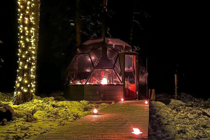 Glass Igloo Campfire Dinner under Northern Lights - How Do Travelers Feel About It?