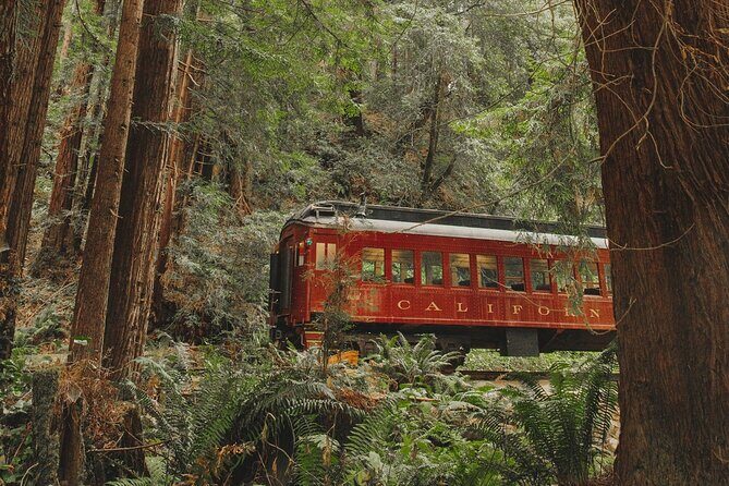 Glen Blair Bar Late-night Watering Hole - The Downside: What to Keep in Mind