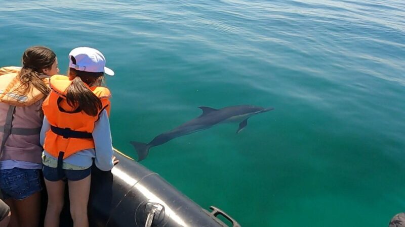 Glénan islands discover, full or half day privatization - Key Points