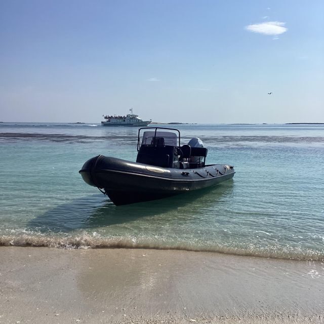 Glénan islands discover, full or half day privatization - What to Expect on the Tour